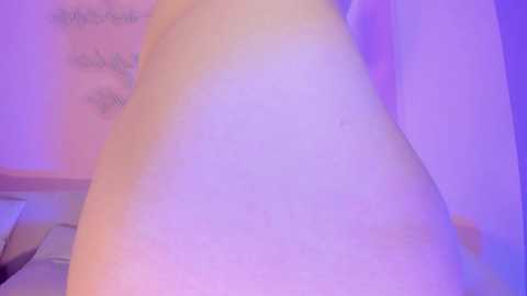 kaylacollins @ bongacams on 20231028