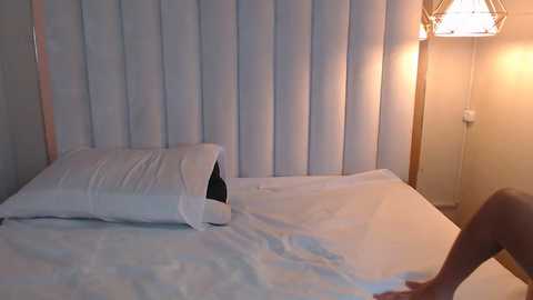 melody_falcon @ chaturbate on 20231211
