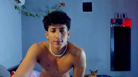 ivano_jones @ chaturbate on 20231225