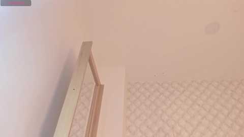 nanacat_ @ chaturbate on 20240128