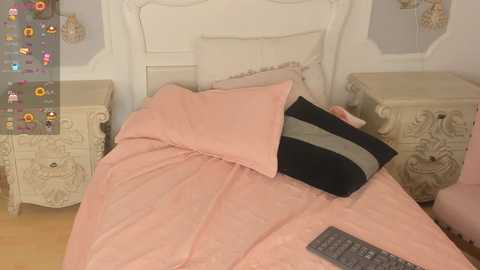 nanacat_ @ chaturbate on 20240205