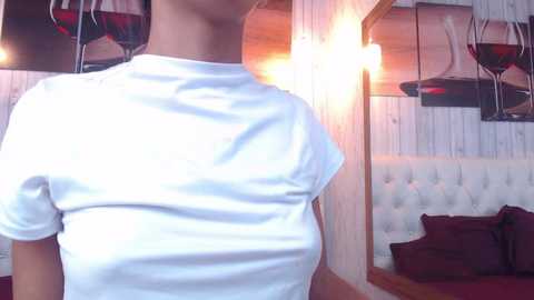 aria_petit @ chaturbate on 20240208