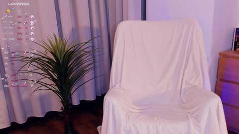 maureengorbett @ chaturbate on 20240221