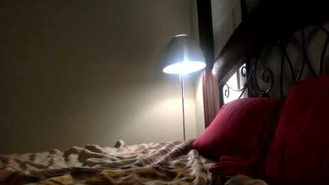 natashavarga @ chaturbate on 20240229