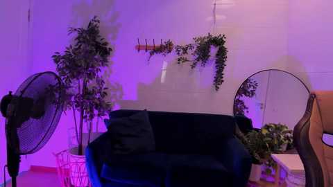 lila_bun @ chaturbate on 20240324