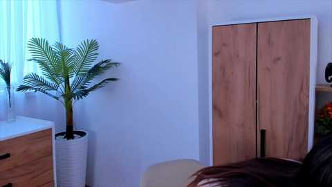 mollycole @ stripchat on 20231020