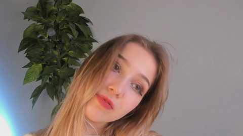 annyfostert @ stripchat on 20231023