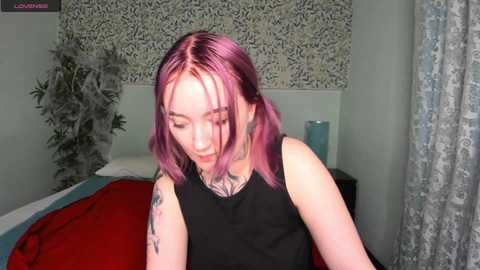 olivia__new @ stripchat on 20231102