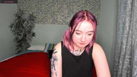 olivia__new @ stripchat on 20231102