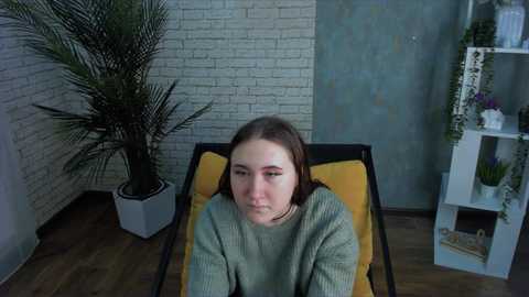 stellarock @ stripchat on 20231126