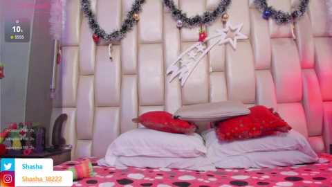 shasa_8 @ stripchat on 20231202
