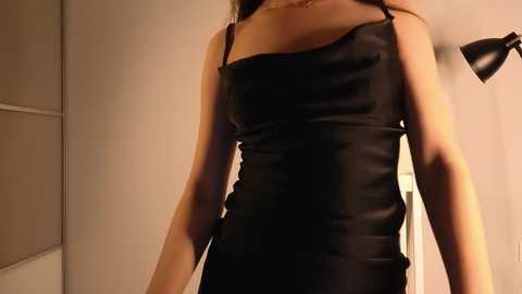 elgagoley @ stripchat on 20231207