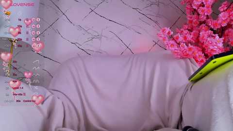 camellia_meow @ stripchat on 20240131