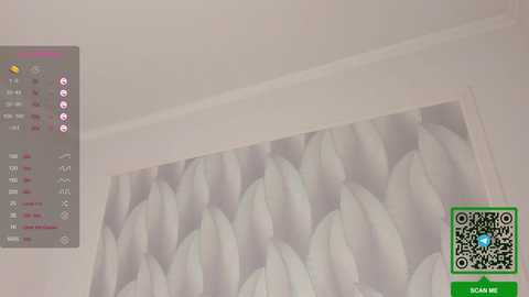 dorothygal @ stripchat on 20240324