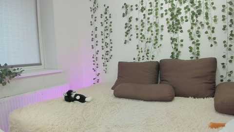 takemichini @ stripchat on 20240401