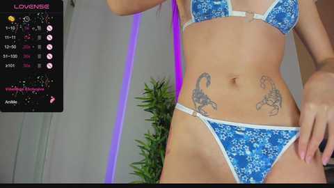 amy_skinny @ stripchat on 20240725