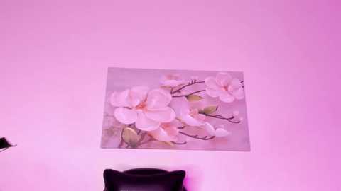 lia_meier @ stripchat on 20240728