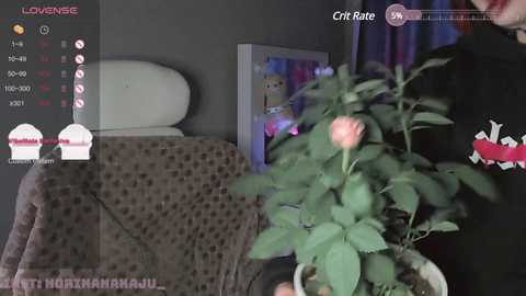 holy_lolly @ stripchat on 20240802